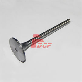 कैट 3306 खुदाई वाल्व 5S6452 5S6449 48 * 9.5 * 139 * 60 आकार सेवन प्रकार